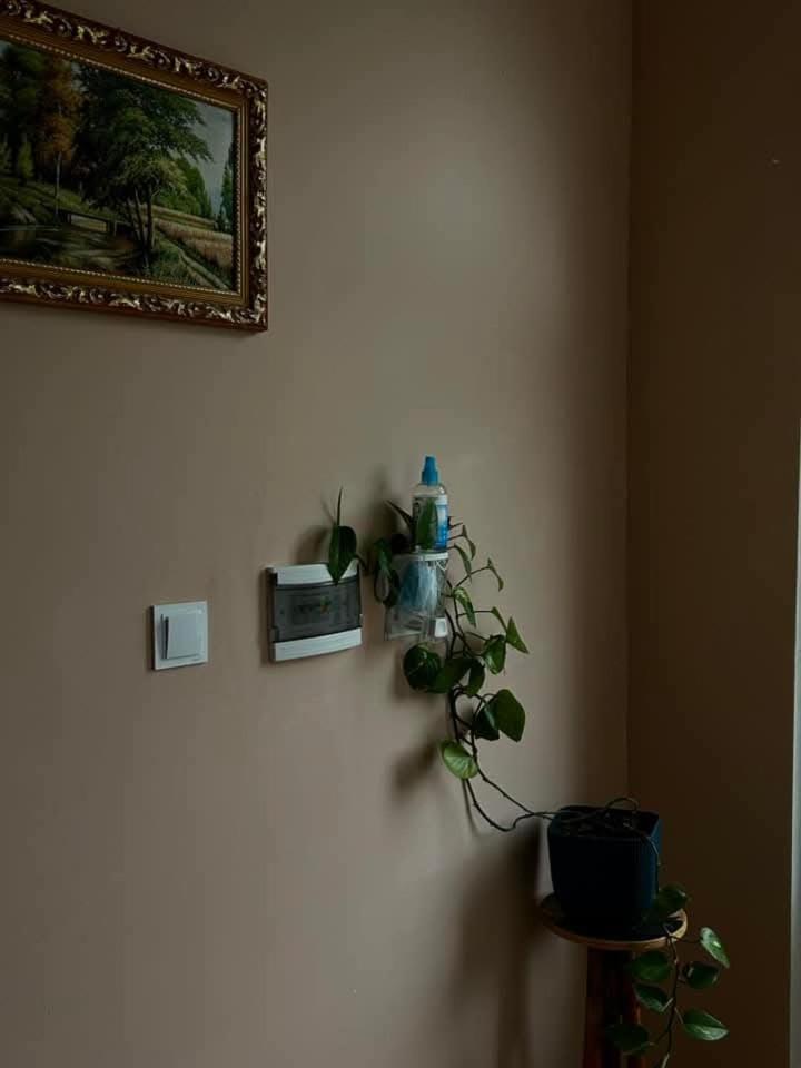 カズベギ Mountain Heart Bed & Breakfast エクステリア 写真